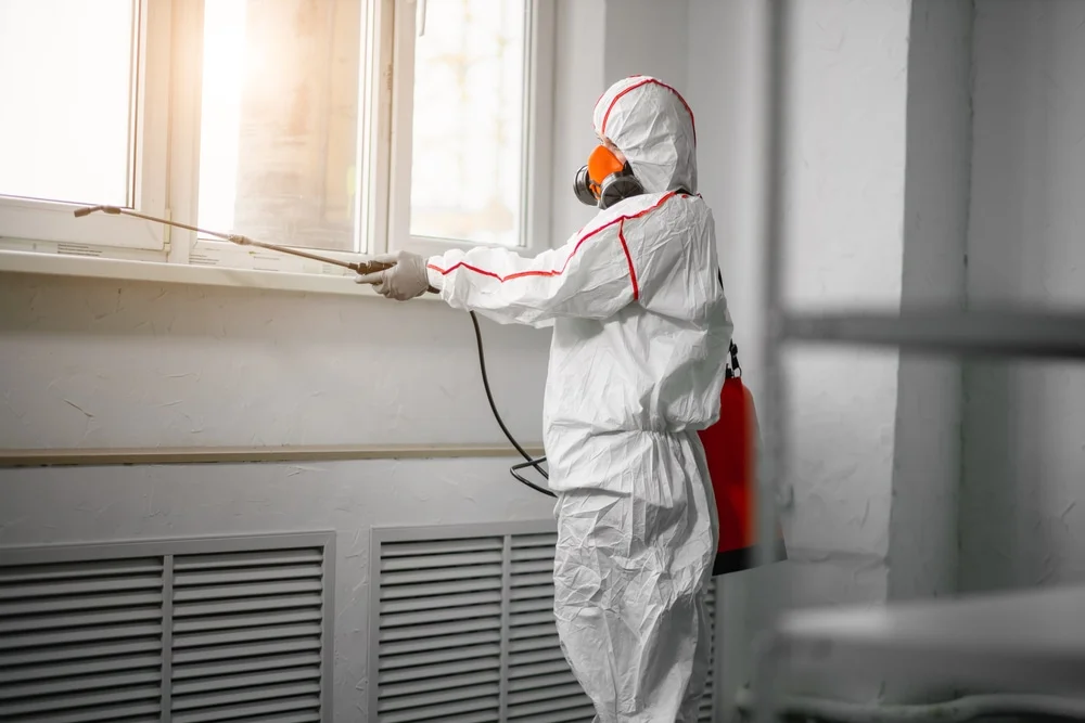 Professional mold remediation services in Apopka, FL